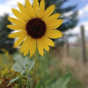 Meet your Posher, Tricia